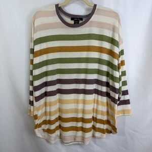 Sable Sky Striped Long Sleeve Crew Neck Tunic Top Women's 2X Boxy Fit